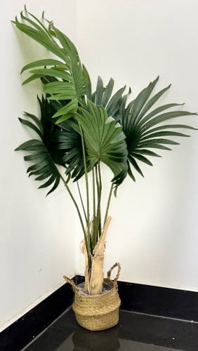 ផ្ការតាំងលំអរ artificial plant ស្អាតដូចធម្មជាតិ