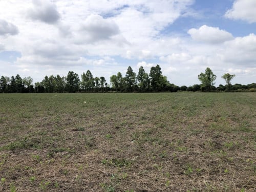 🏦Land for Urgent sale (Negotiable), ABA Loan Available