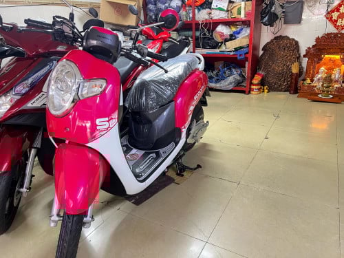 Scoopy i 2020 ផ្កាឈូក ផ្លាកលេខ ធានា 1 ឆ្នាំ