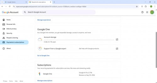Sell Account Gemini Pro 12 months
