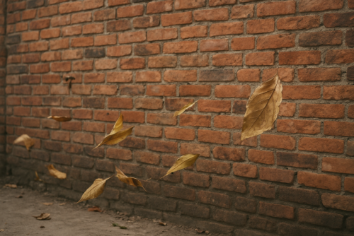 លក់កង់ដែលធ្វើមកពីខ្យល់ពីតៗ100%