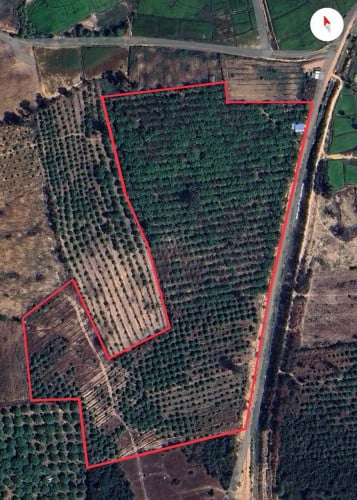 - ដីចំការស្វាយចន្ទី ជាប់រម្មណីយដ្ឋាន/ សណ្ដាន់/កំពង់ធំ (ម្ចាស់ផ្ទាល់)