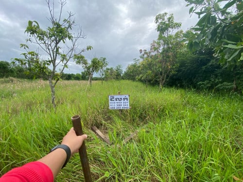 ដីលក់ ជាប់របងសាលាព្រែកតាដួង