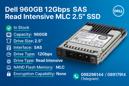 Dell 960GB 12Gbps SAS Read Intensive SSD