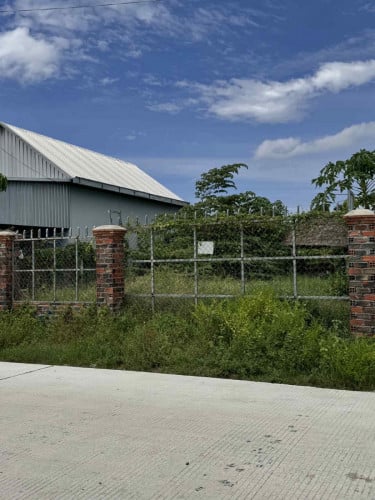 ប្លង់រឹង