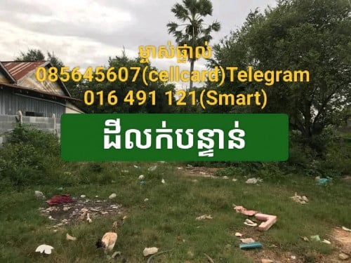 ម្ចាស់ផ្ទាល់ ប្លង់រឹង