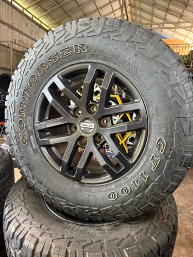 យ៉ាន់Raptor ហ្សីនសំបកចិន