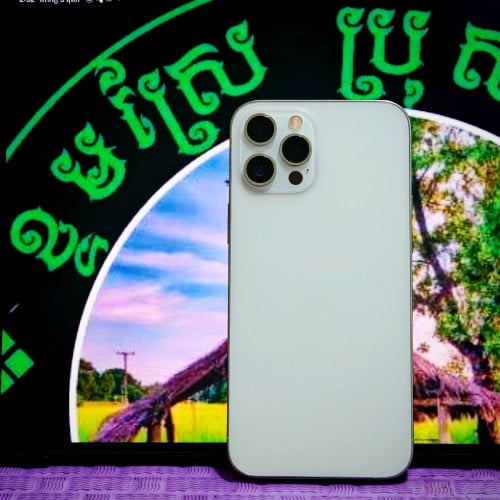 iPhone 12 Pro Max មានស្កេនមុខ (វ៉ៃដូរបាន)