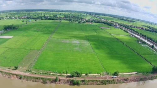ដីគម្រោងអភិវឌ្ឍន៍រោងចក្រមិនងាយមាន