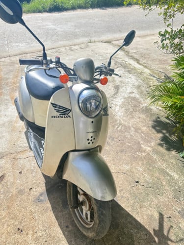 លក់ស្កុបពី មីនី មានពន្ធត្រឹមត្រូវ