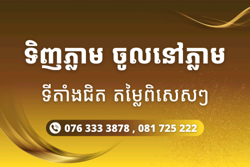 ផ្ទះអាជីវកម្ម-វីឡា