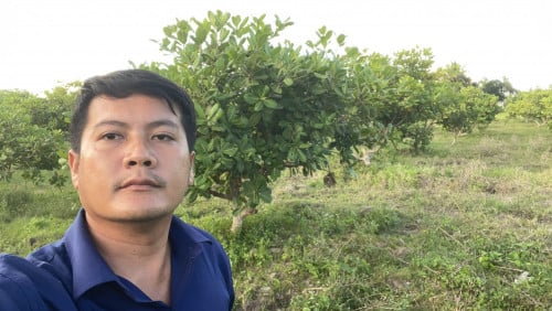 លក់កូនស្វាយចន្ទី M23