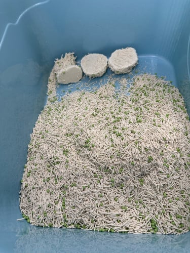 Tofu and cassava mix cat litter