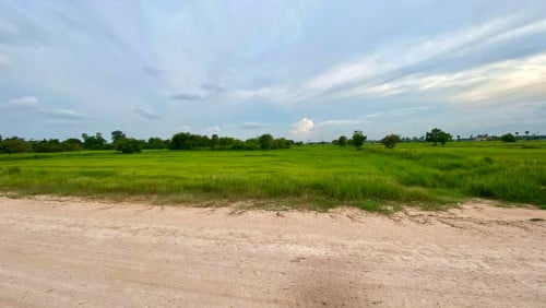 ដីលក់បន្ទាន់ កែង ៖ នៅជិតបុរីបុស្បាផ្លូវជាតិលេខ3 សង្កាត់ពងទឹក ខណ្ឌដង្កោ ភ្នំពេញ