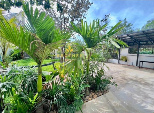 ផ្ទះលក់ស្ថិតក្នុងក្រុងសៀមរាប | House for Sale in Siem Reap