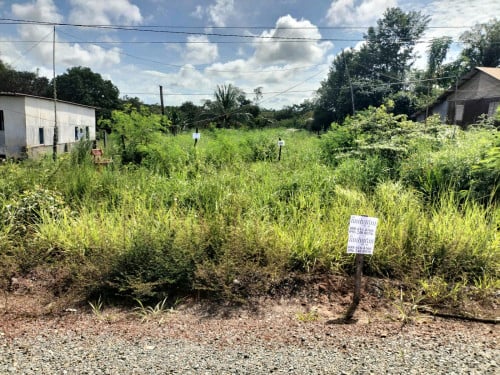 ដីលក់ឫជួល