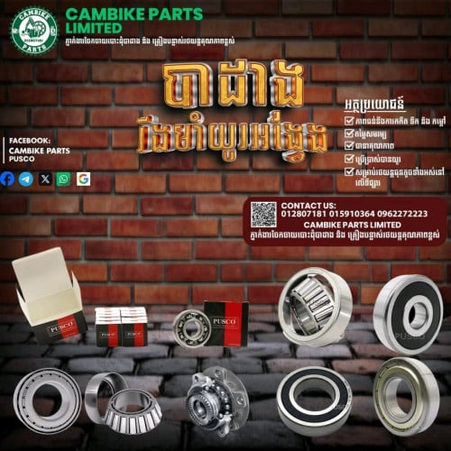 បាដាងដោះដុំ និងលក់រាយ