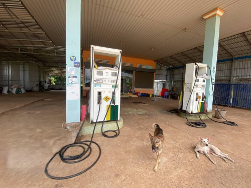 🏦Gasoline Available for Urgent Sale at a Special Price (Negotiable).