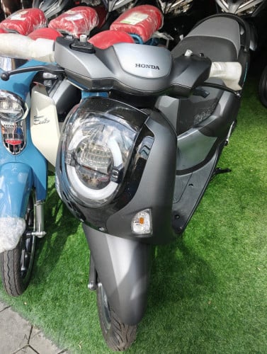 Honda Scoopy 025 have tax Paper New100%