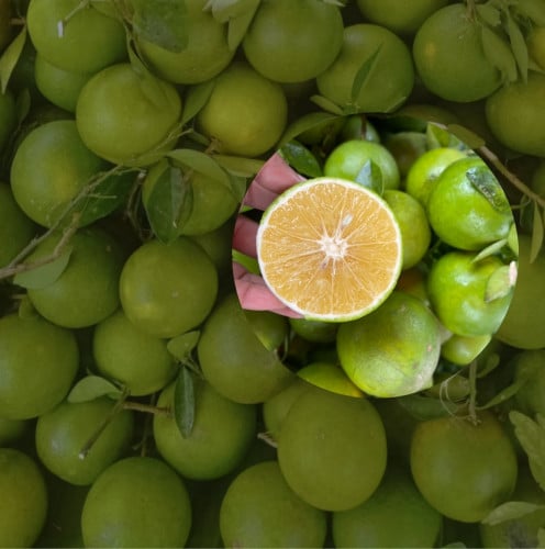 ក្រូចពោធិ៍សាត់ចំការអូរខ្ជាយខេត្ដបាត់ដំបងមួយផ្លូន 44000៛