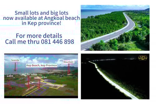 ដីជាប់បឹងធម្មជាតិលក់តម្លៃពិសេស