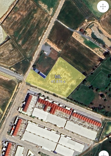 លក់ដីស្រែ