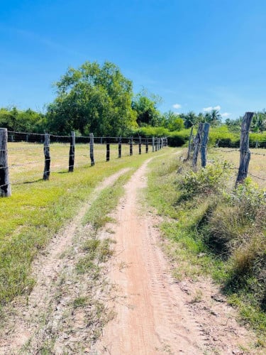 ដីលក់ប្រញាប់