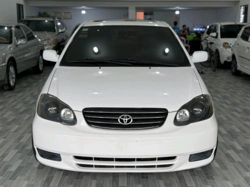 លក់បន្ទាន់