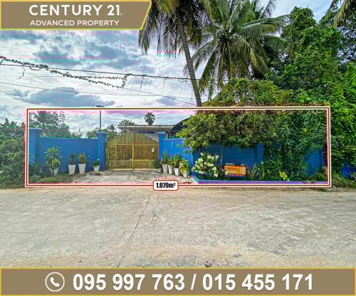 🏘 ដី និង​ ផ្ទះ នៅសង្កាត់វាលស្បូវ ខណ្ឌច្បារអំពៅ ត្រូវការលក់បន្ទាន់ខ្លាំង