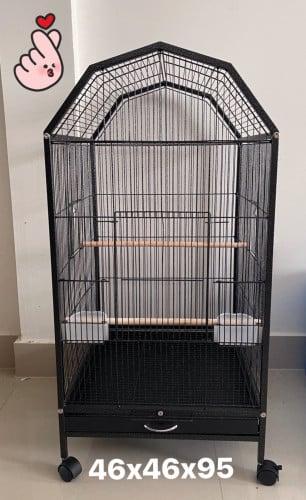 Bird cage ទ្រុង