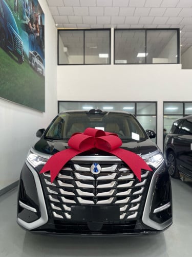 DENZA D9 DM-i 2025🚘