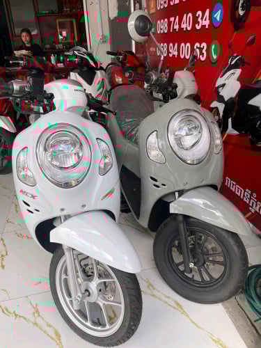 scoopy 2024ថ្មីកេះបោះក្រុមហ៊ុនតម្លៃ2850