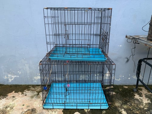 ទ្រុងសត្វចិញ្ចឹម