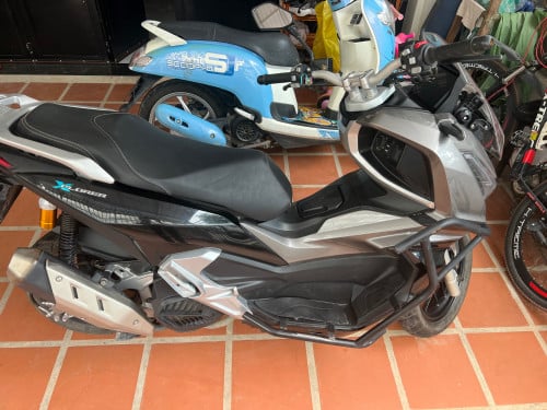 Calypso Xplorer 2023