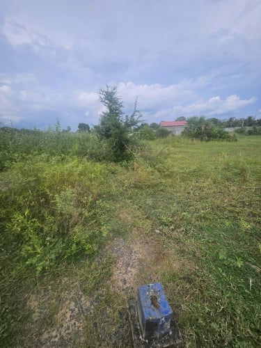 ដីលក់បន្ទាន់តម្លៃចរចារបាន