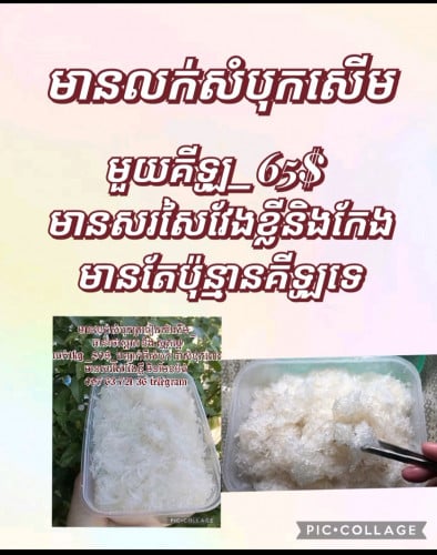 មានលក់សំបុកត្រចៀកកាំសើម....1 គីឡូ_65$ អីវ៉ាន់ដល់ដៃចាំទូទាត់់