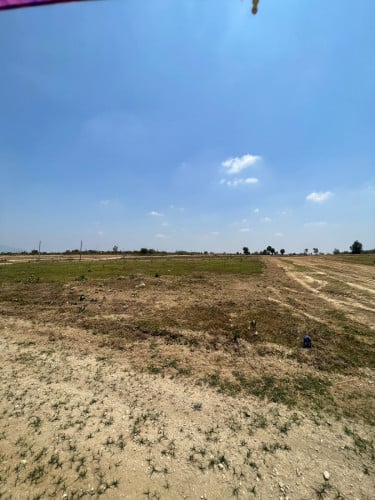 ដីកែងលក់ខាតដើម ទិញតាំង2020