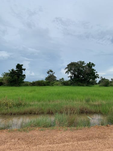 🏠 អចលនទ្រព្យ លក់