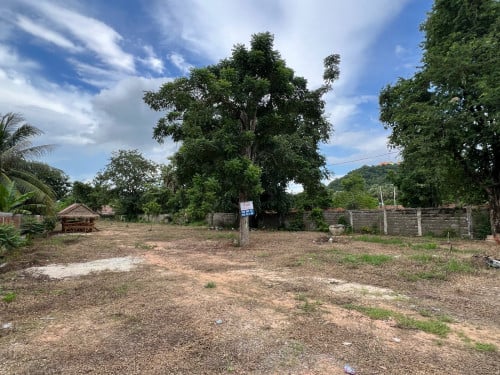 ដីលក់នៅបាសិត ផ្លូវ១៣០