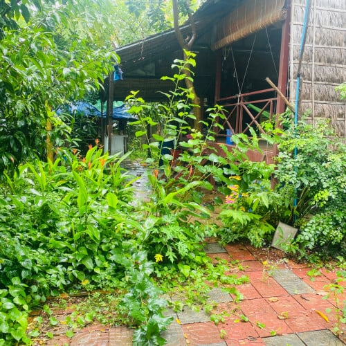 ដីនិងផ្ទះជួលក្រោយវត្តគល់ទទឹង