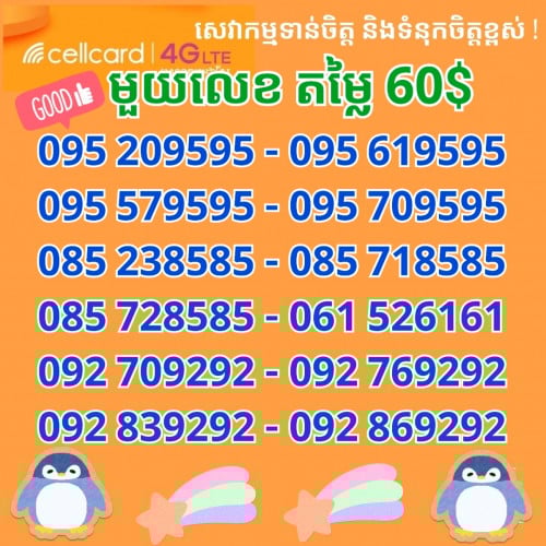 095 666668, 095 888885