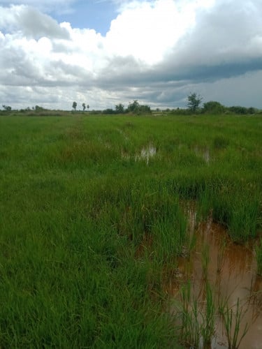 ដីលក់នៅបាភ្នំខេត្តព្រៃវែង