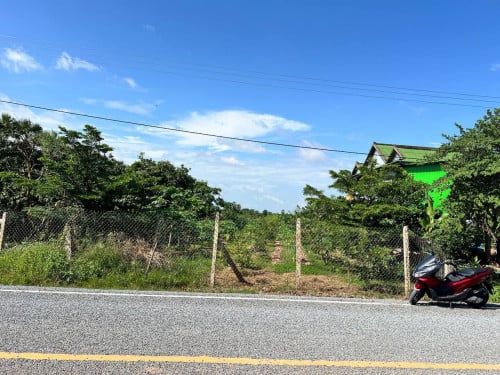 ដីលក់នៅភូមិព្រែកក្រូច ជាប់ផ្លូវធំ 20M