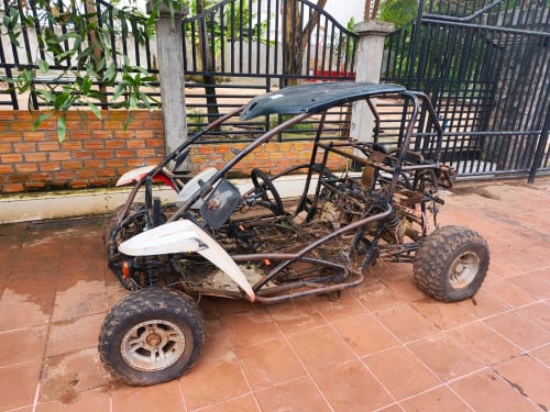 Buggy restauration project