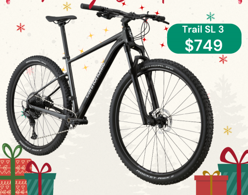 Cannondale Trail SL 3 V2