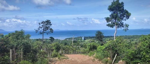 Prime Kampot land near Bokor — mountain view, river at the back — $75 / sqm