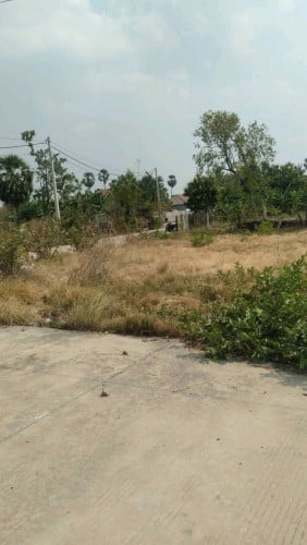 លក់ខាតដើម