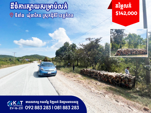 ដីចំការស្វាយសម្រាប់លក់ | Land For Sale