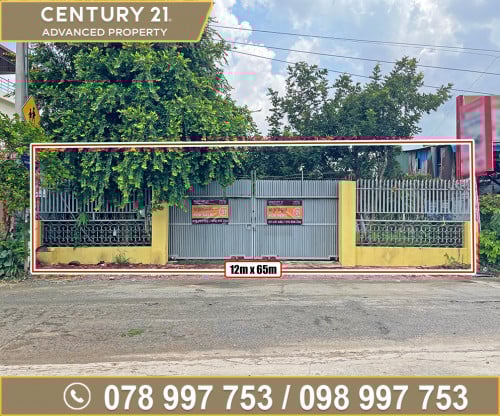 🏘 ដី នៅនិរោធជិតសាលារៀនសុវណ្ណភូមិ ត្រូវការលក់បន្ទាន់ខ្លាំង