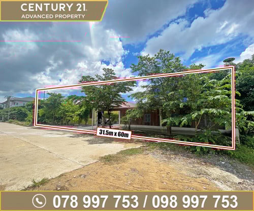 🏘 ដី និង ផ្ទះ នៅជិតបុរី តារាសំណាង ផ្លូវ Tiger ត្រូវការលក់បន្ទាន់ខ្លាំង